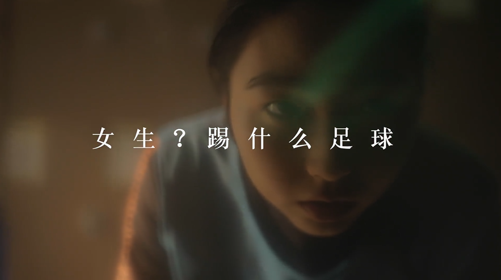 8868体育手机端登录股份