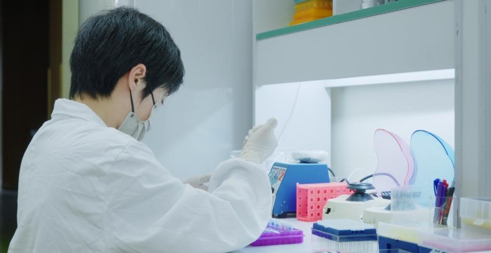 8868体育手机端登录股份